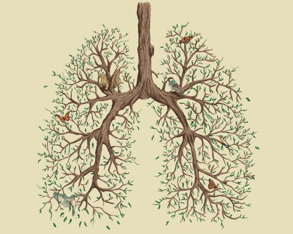 tree lungs